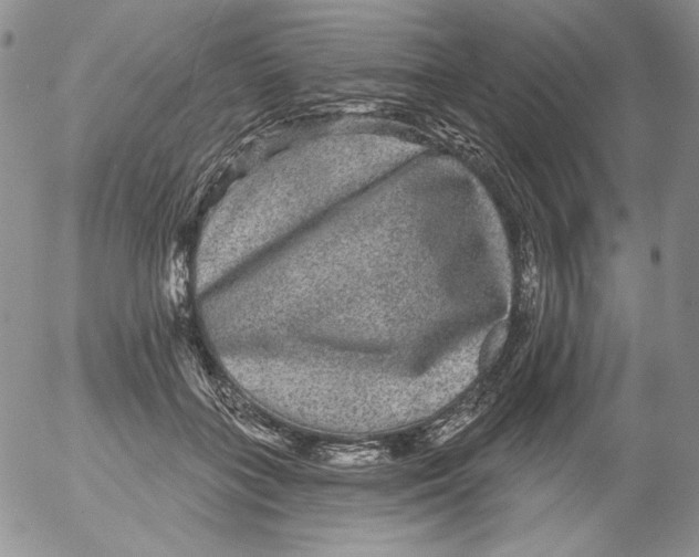 X0000053060555200508011917