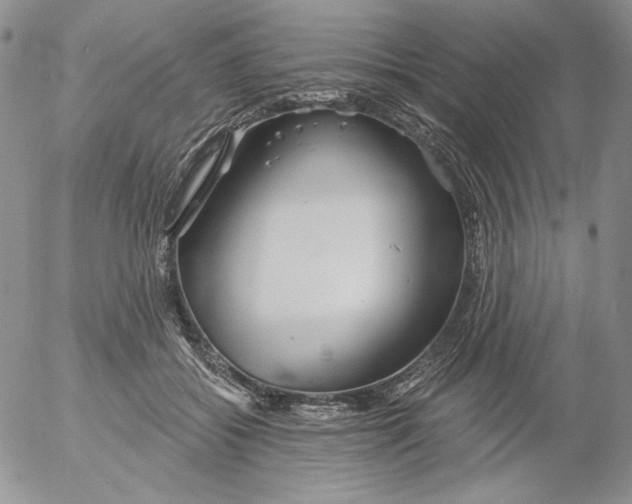 X0000053060556200508011917