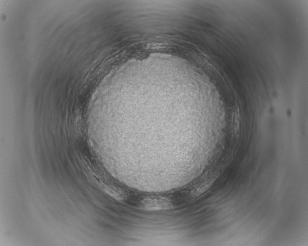 X0000053060557200508011917