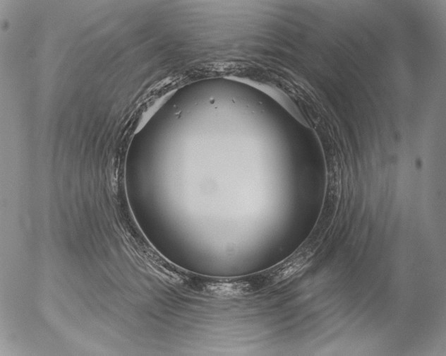 X0000053060558200508011917