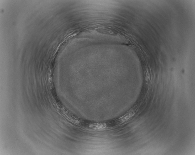 X0000053060559200508011917