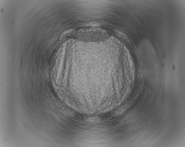 X0000053060561200508011917