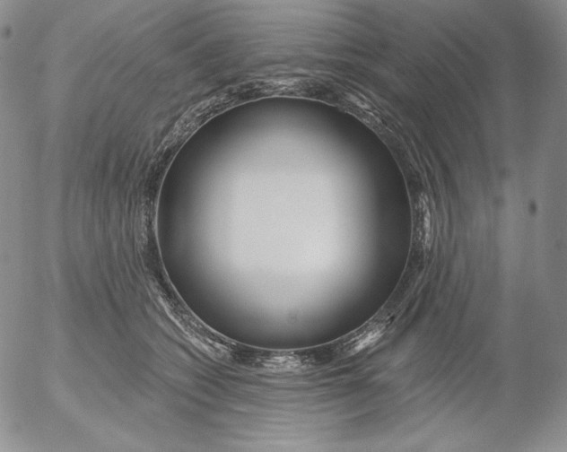 X0000053060562200508011917