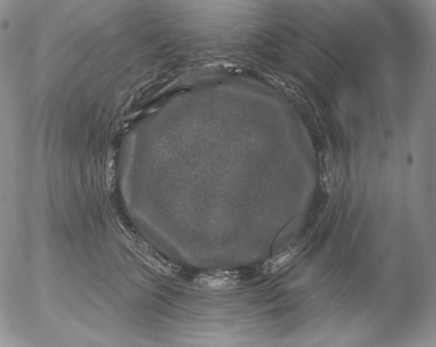 X0000053060563200508011917