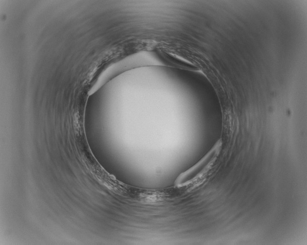 X0000053060564200508011917