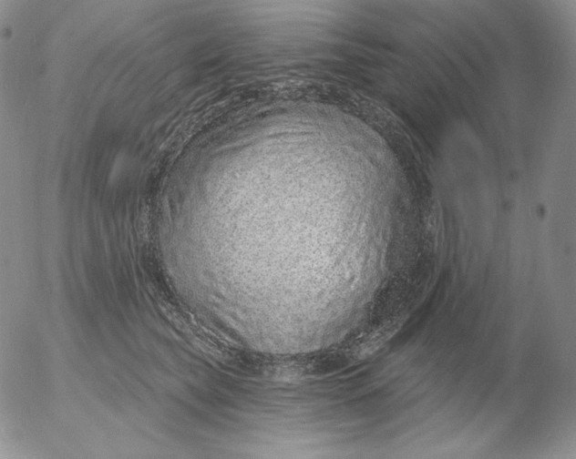 X0000053060565200508011917