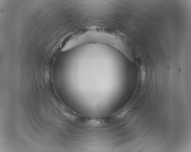 X0000053060566200508011917