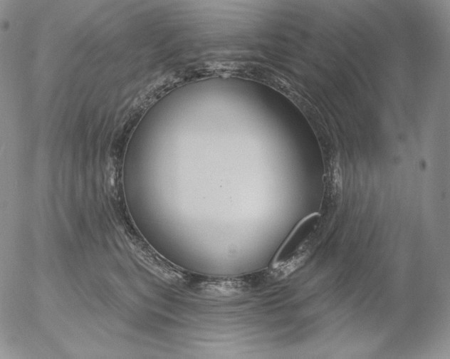 X0000053060567200508011917