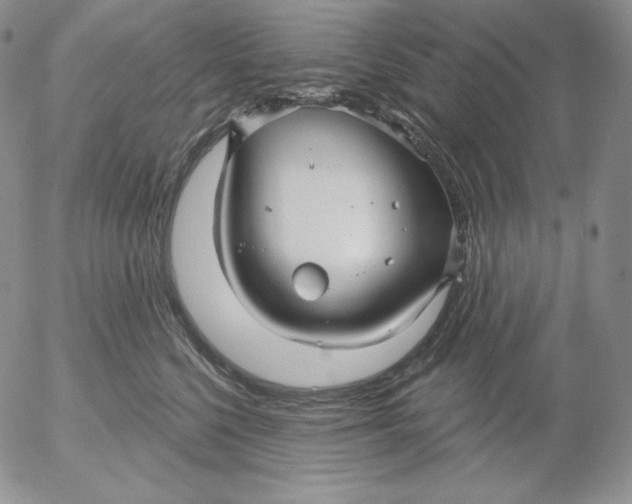 X0000053060568200508011917