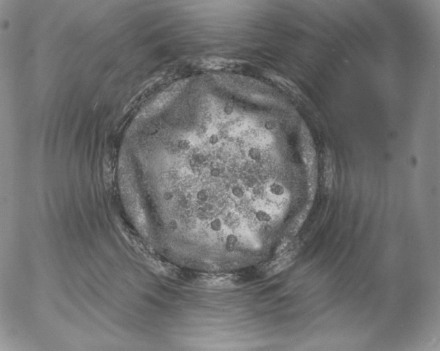 X0000053060569200508011917