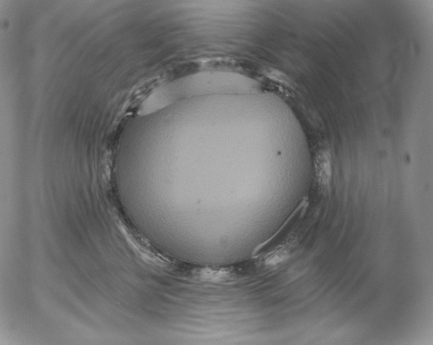 X0000053060570200508011917