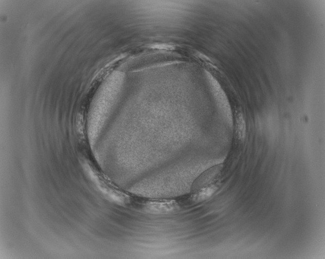 X0000053060571200508011917