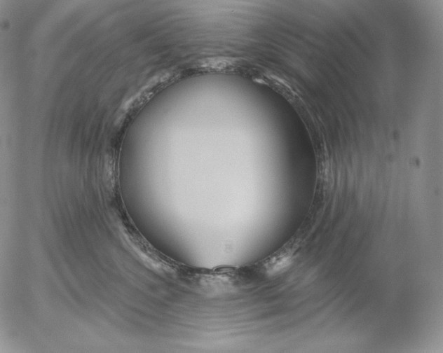 X0000053060572200508011917