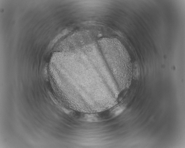 X0000053060573200508011917