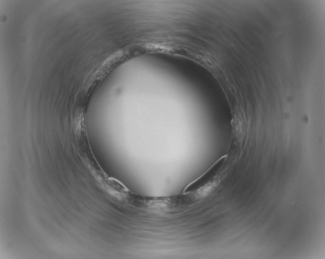 X0000053060574200508011917