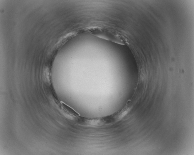 X0000053060575200508011917