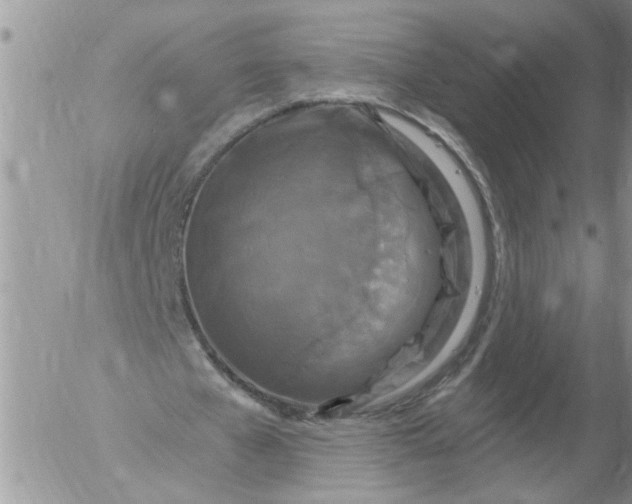 X0000053060577200508011916