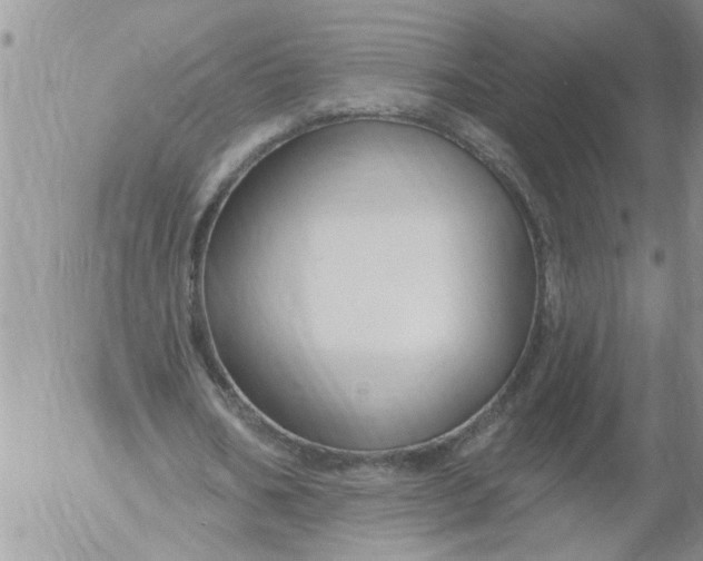 X0000053060578200508011916