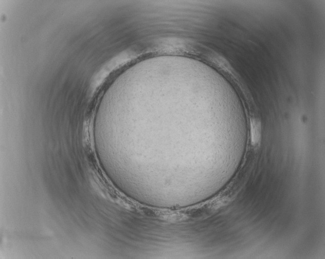 X0000053060579200508011916