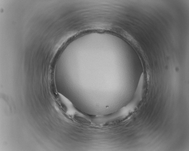 X0000053060580200508011916