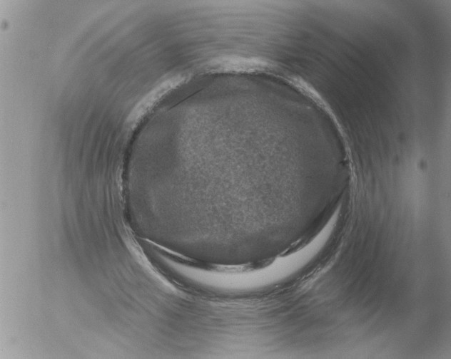 X0000053060581200508011916