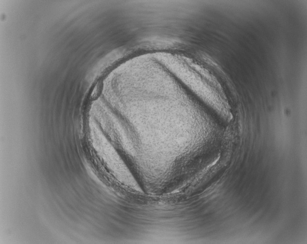 X0000053060582200508011916