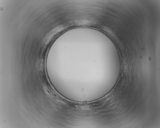 X0000053060583200508011916