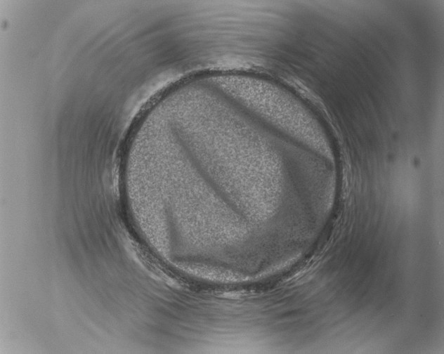 X0000053060584200508011916