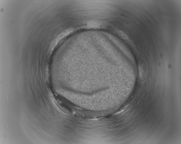 X0000053060588200508011916