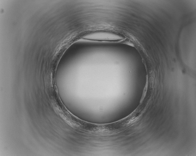 X0000053060589200508011916