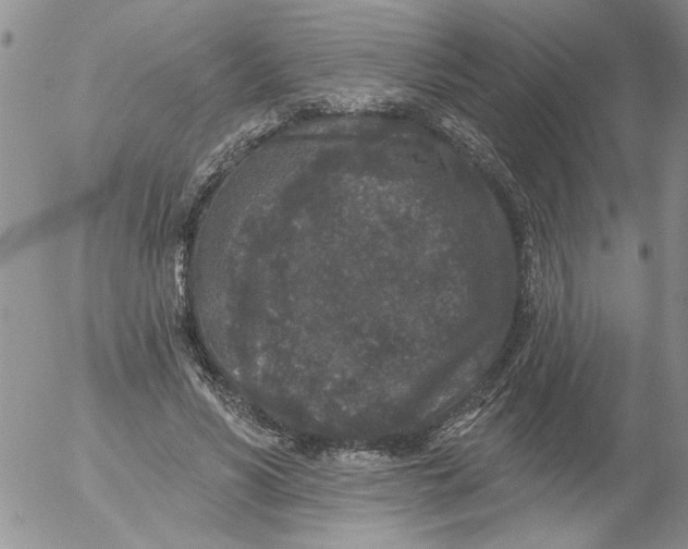 X0000053060590200508011916