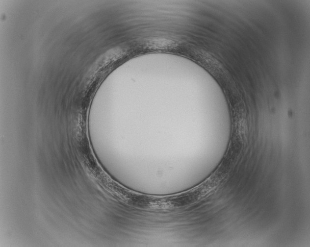 X0000053060591200508011916