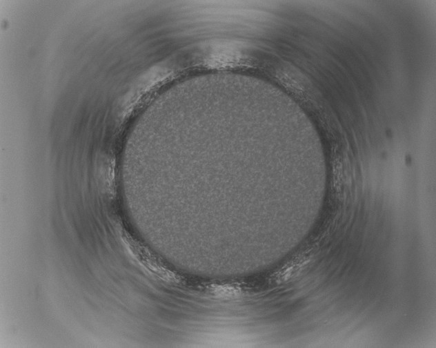 X0000053060592200508011916