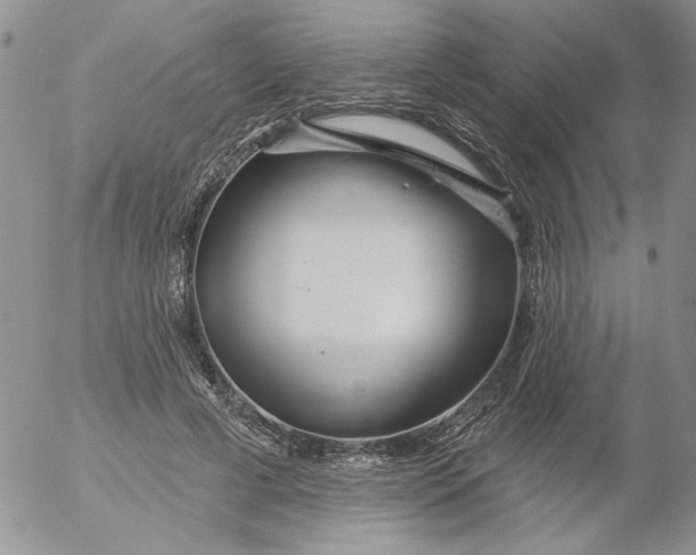 X0000053060593200508011916