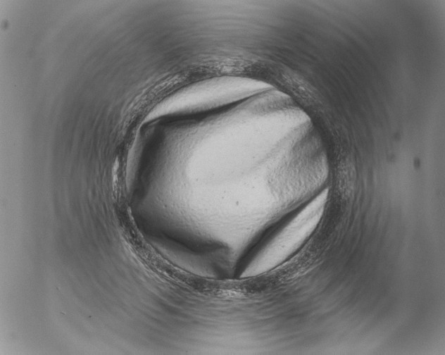 X0000053060594200508011916