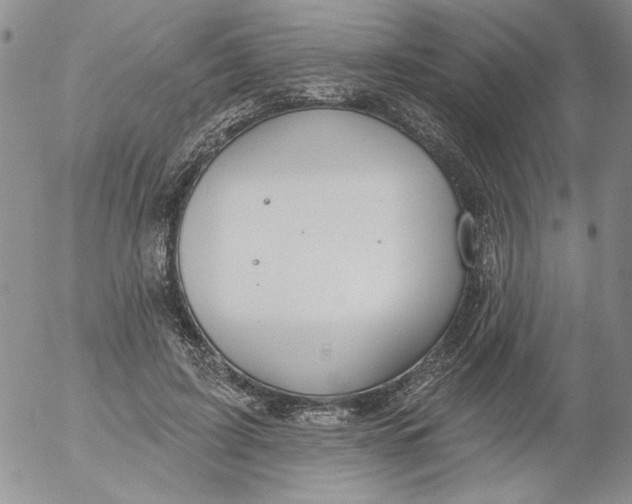 X0000053060595200508011916