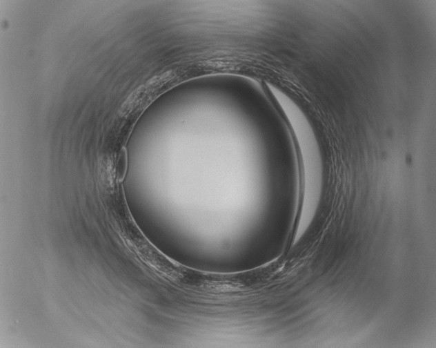 X0000053060597200508011916