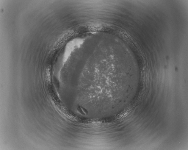 X0000053060598200508011916