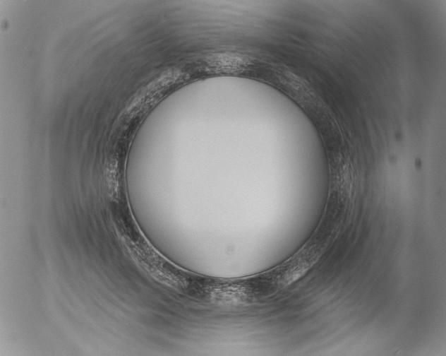 X0000053060599200508011916