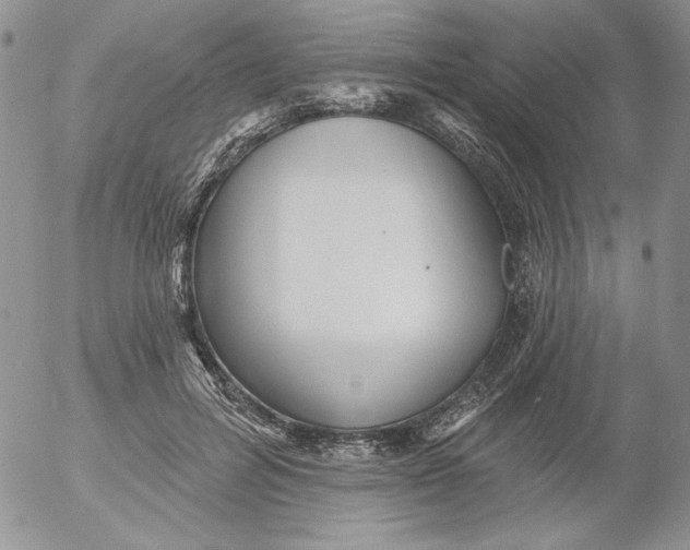 X0000053060600200508011916