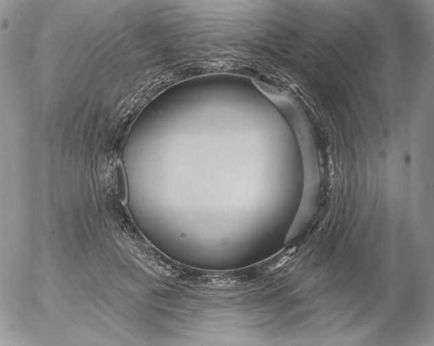 X0000053060601200508011916