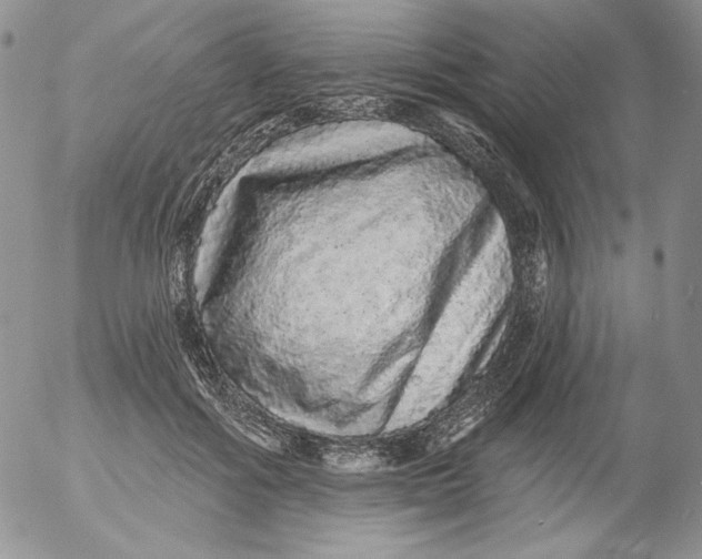 X0000053060602200508011916