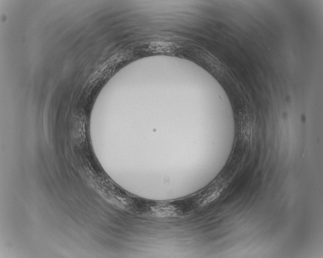 X0000053060603200508011916