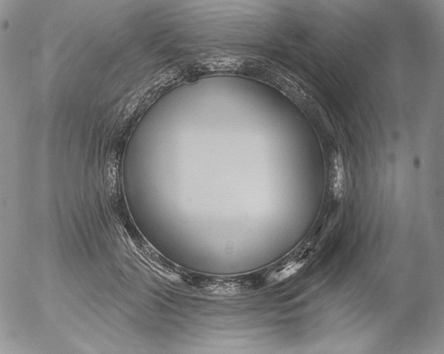 X0000053060604200508011916