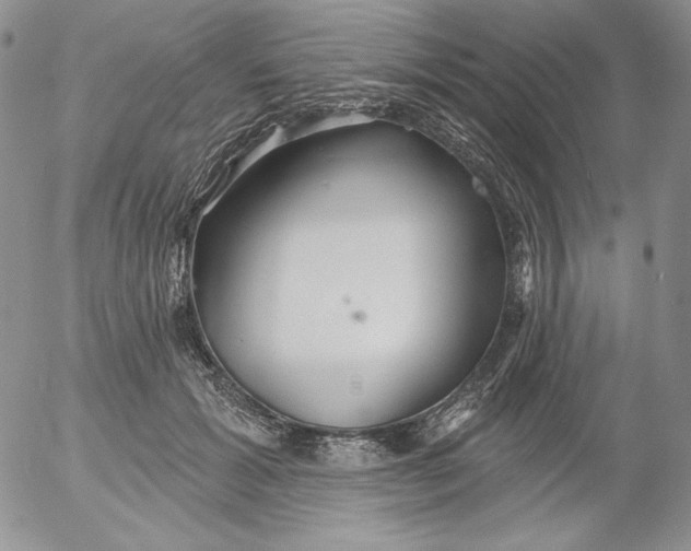 X0000053060605200508011916