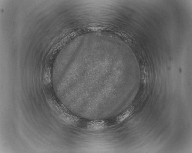 X0000053060606200508011916