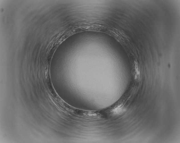 X0000053060607200508011916