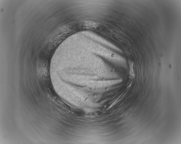 X0000053060608200508011916