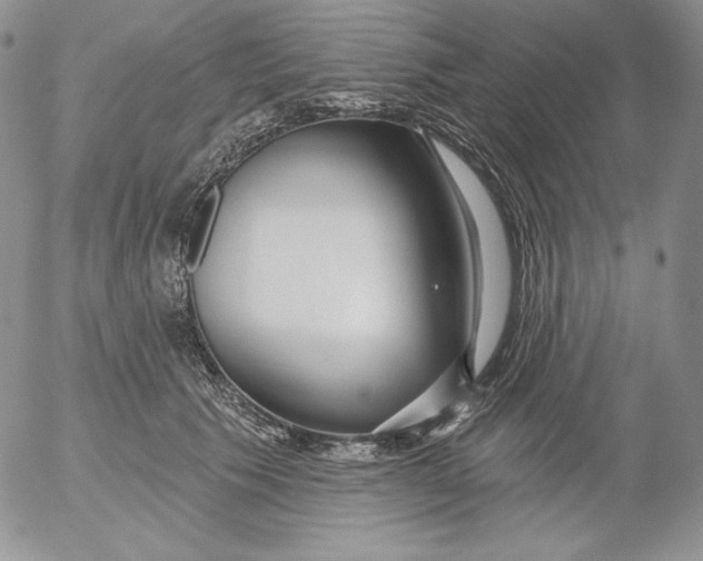 X0000053060609200508011916