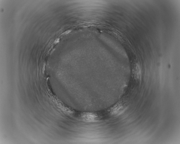 X0000053060610200508011916